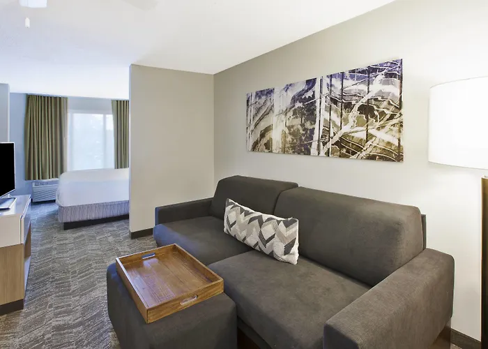 Springhill Suites Minneapolis-St. Paul Airport/Eagan